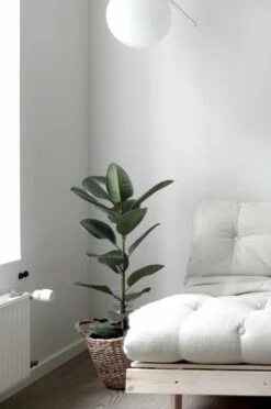 Möbler Karup Design Loungestol Roots 90 Rå Bas 8 Möbler Karup Design Loungestol Roots 90 Rå Bas -Sängkläder Försäljning 2024 hom 1580327 13 Lo 01